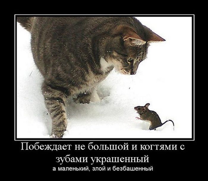 Победитель
