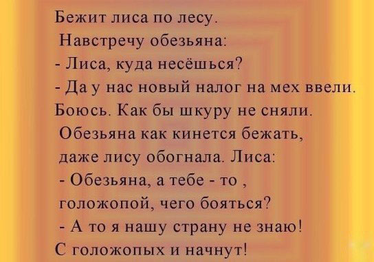Налог на мех