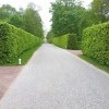 Моё, Санкт-Петербург, город, хорошо, Петергоф Моё, Санкт-Петербург, город, хорошо, Петергоф