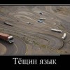 Тёщин язык