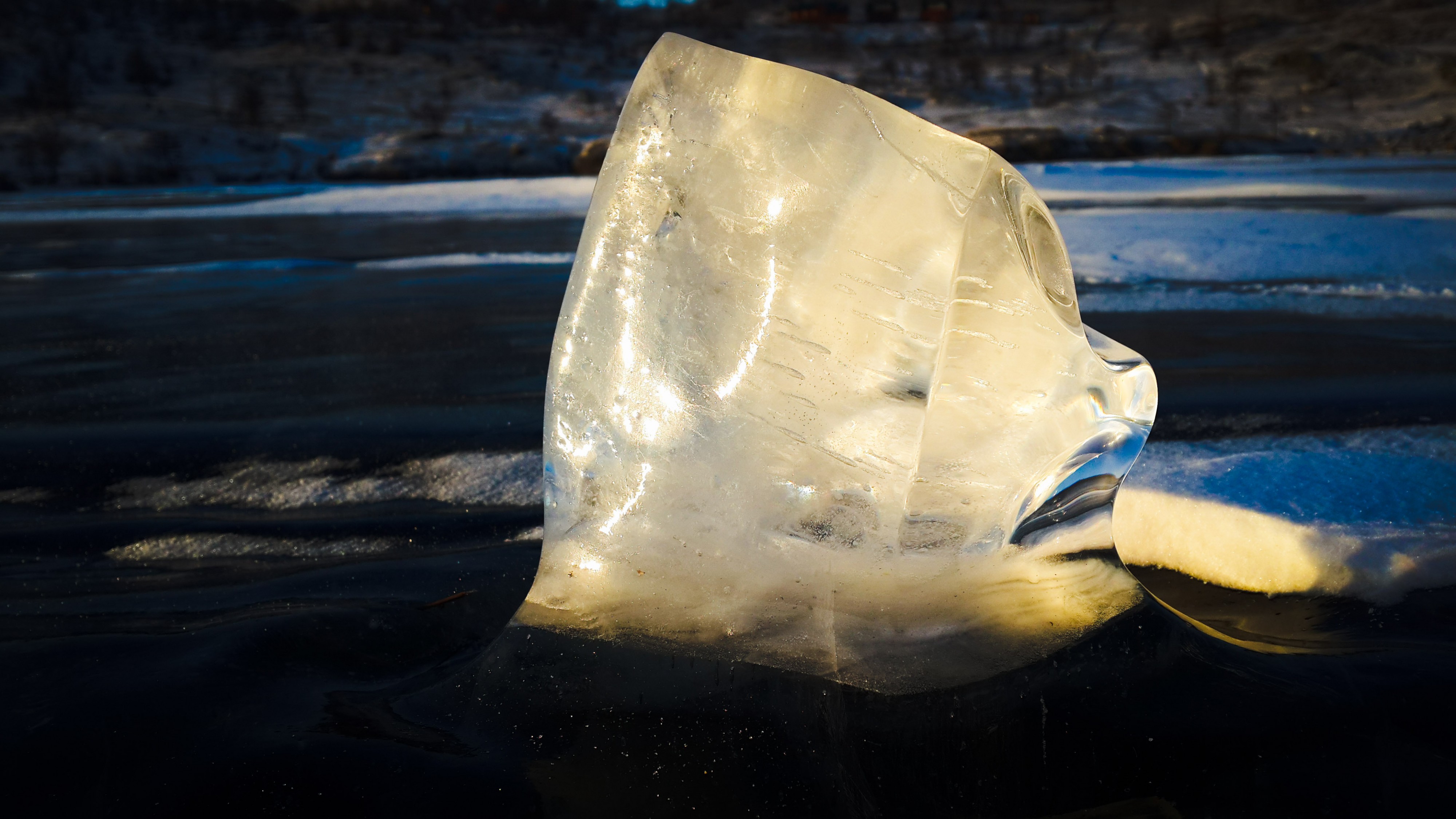 рыба языкатая 