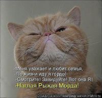 Наглая рыжая морда))))) Наглая рыжая морда)))))