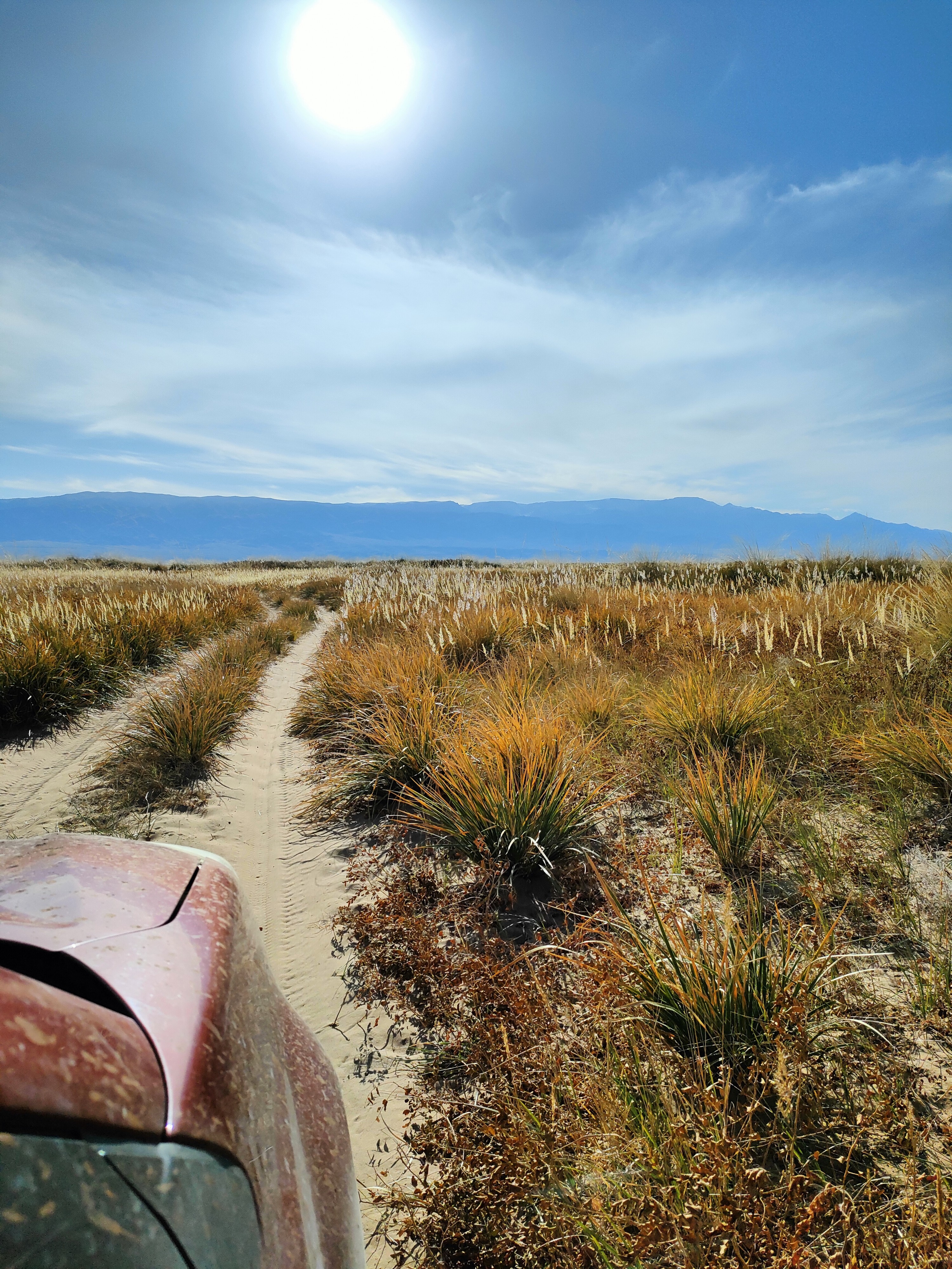 В поисках короткой дороги 