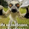 йа незвабоден, но йа збагоен))))) йа незвабоден, но йа збагоен)))))