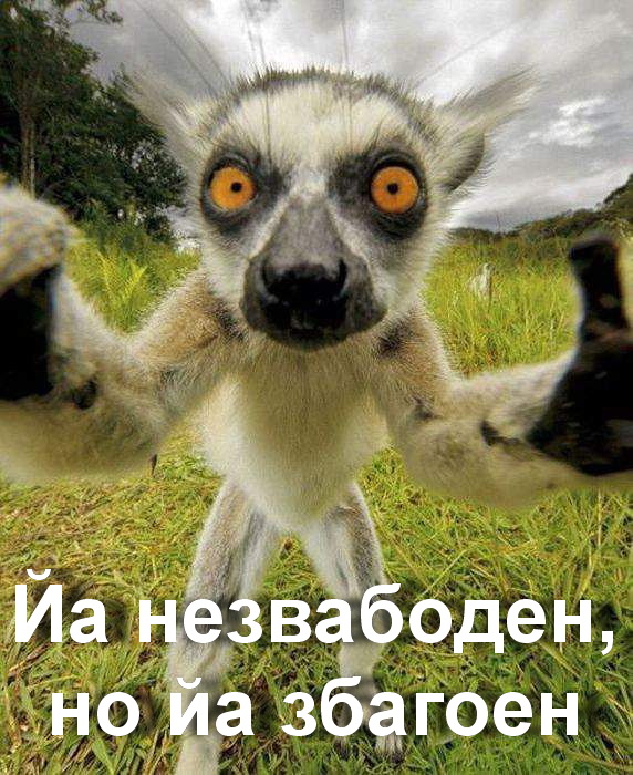 йа незвабоден, но йа збагоен)))))