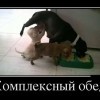 Комплексный обед Комплексный обед