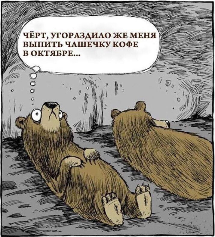 Бессоница