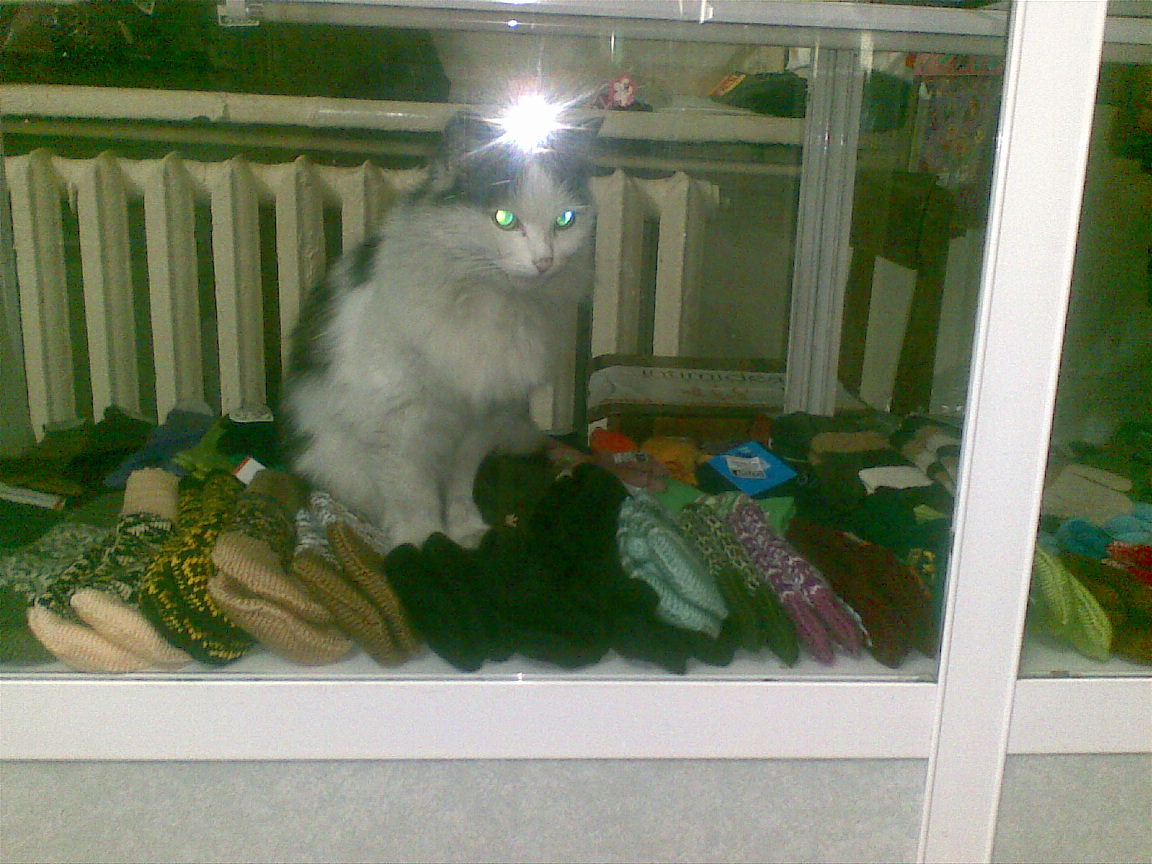 купите лучше меня!