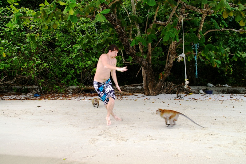 а фиг вам, а не качелька