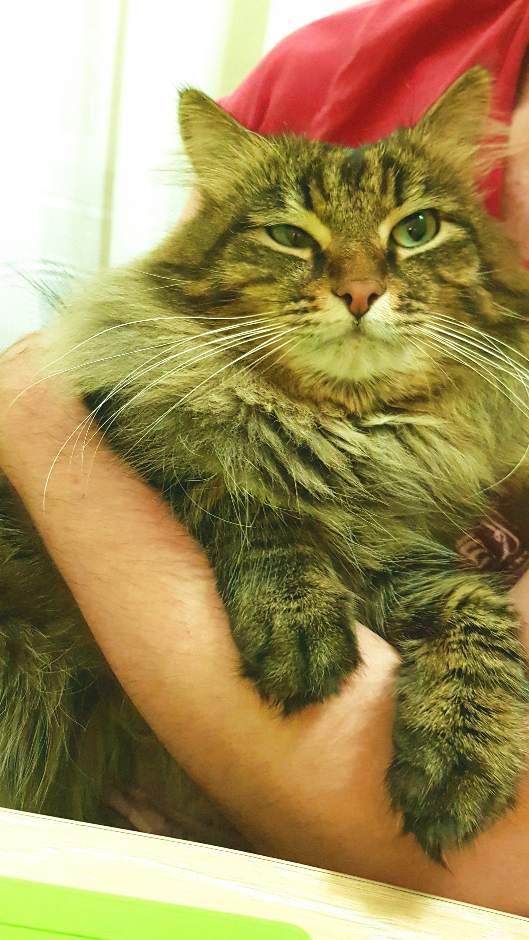 збогойный код))))))