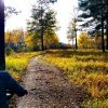 осенневоскресное)))))
