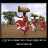 Курсы повышения