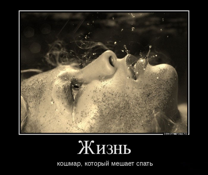 Жизнь