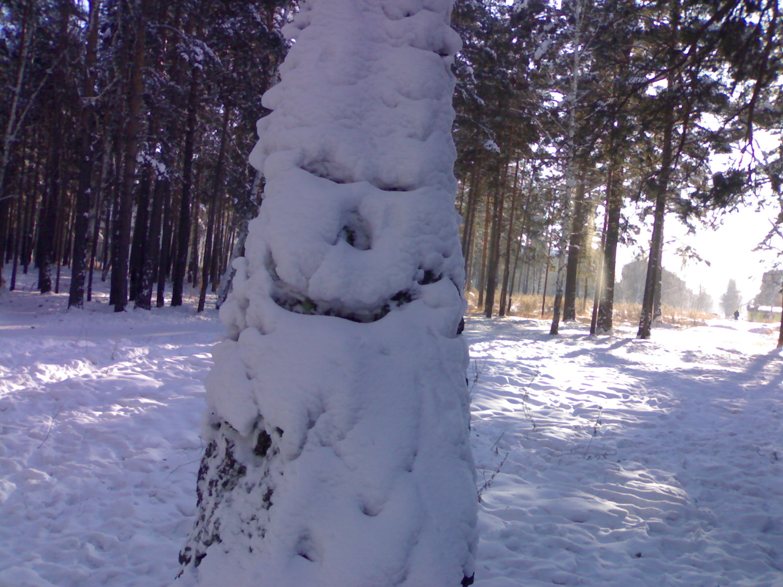 чудище лесное