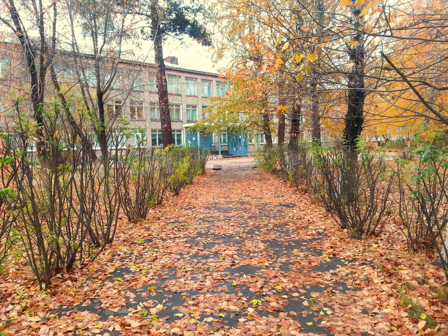 36я 2013 осень))))))