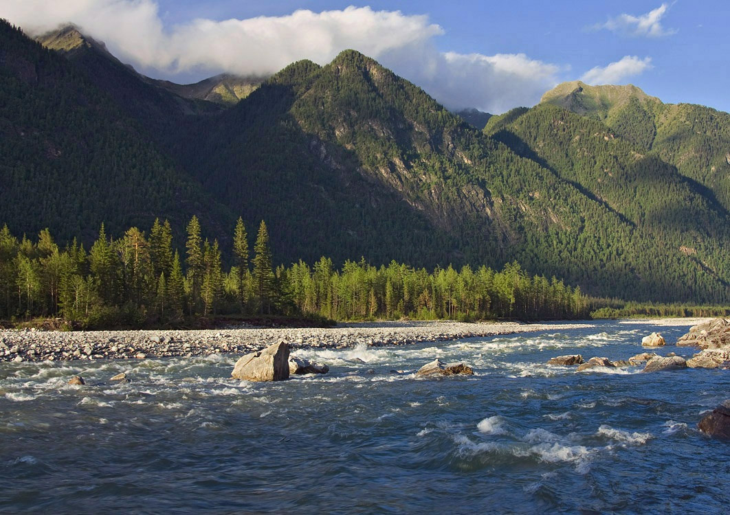 Китой около д. Манино