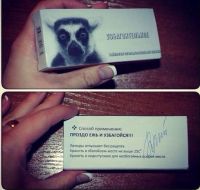 Узбагойся))))))