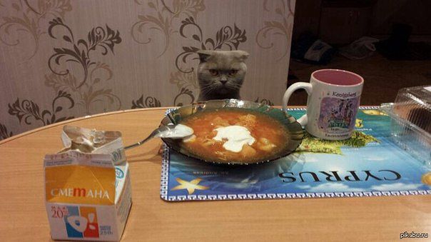 Где хлеб,женщина?