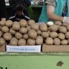 Без названия Без названия