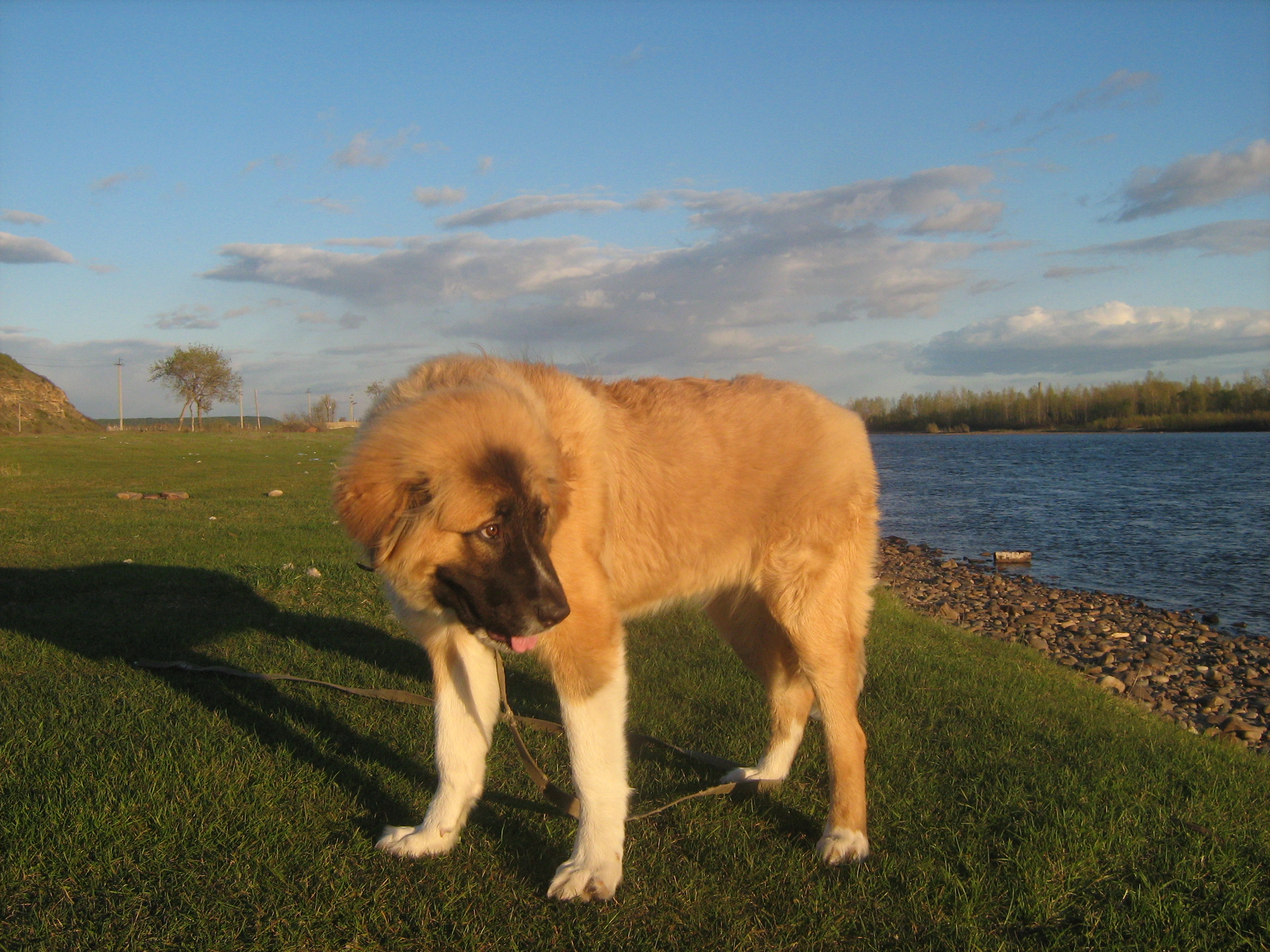 Дуське 7 месяцев