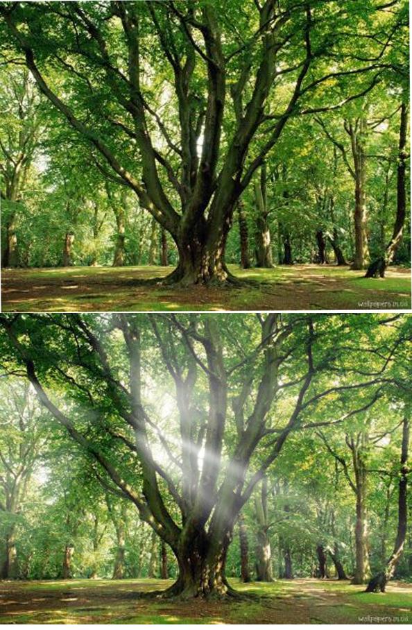 пробился лучик