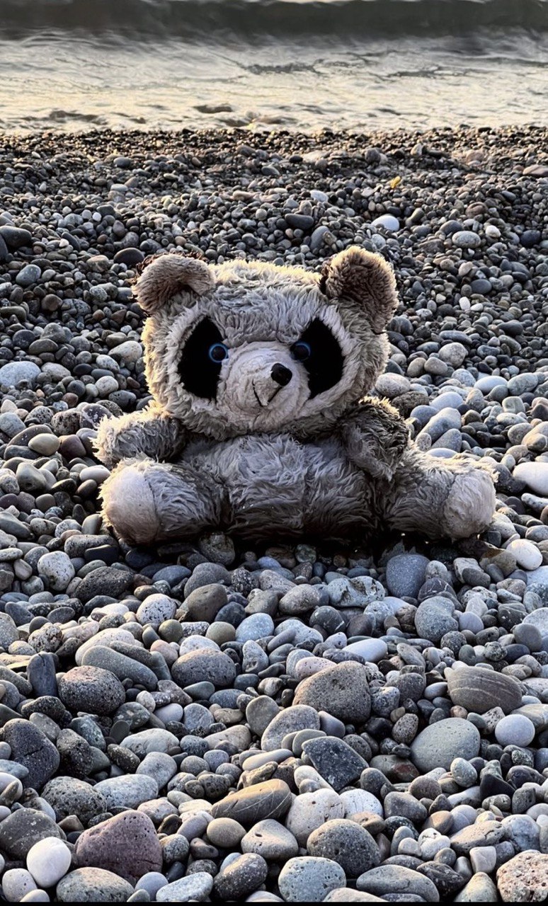 Мишку бросила хозяйка