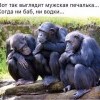 Мужская печалька