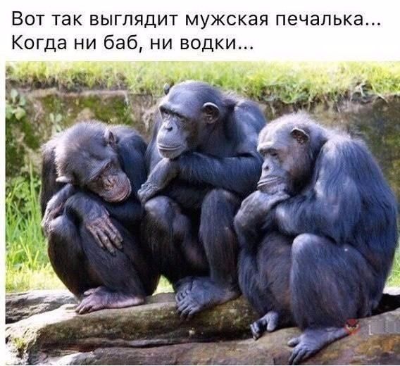 Мужская печалька