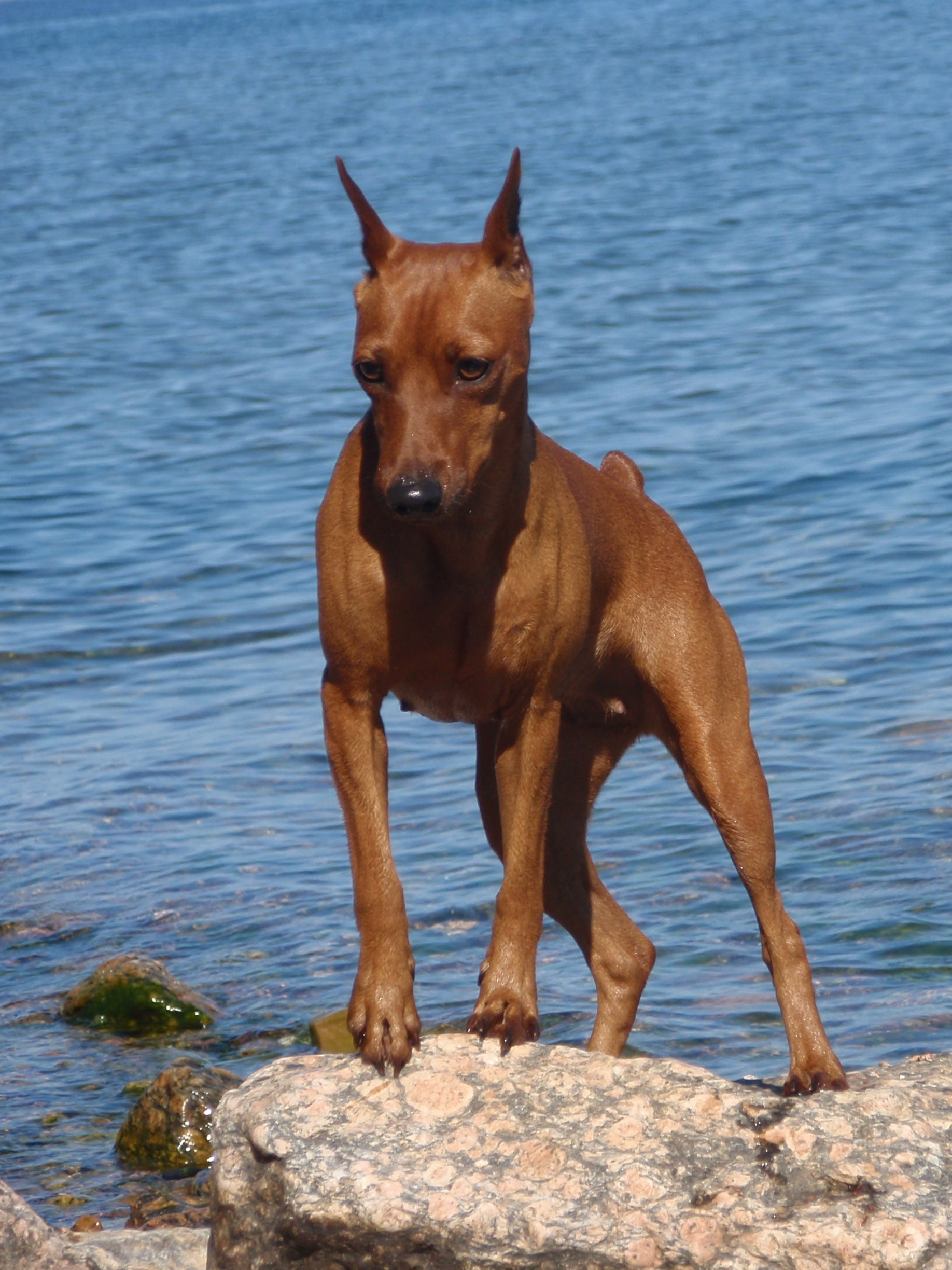 На Байкале 3