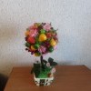 IMG 2565[1]