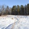 Деревянная прогулка))))))