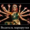 Водитель маршрутки