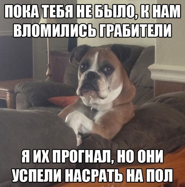 Обьяснительная