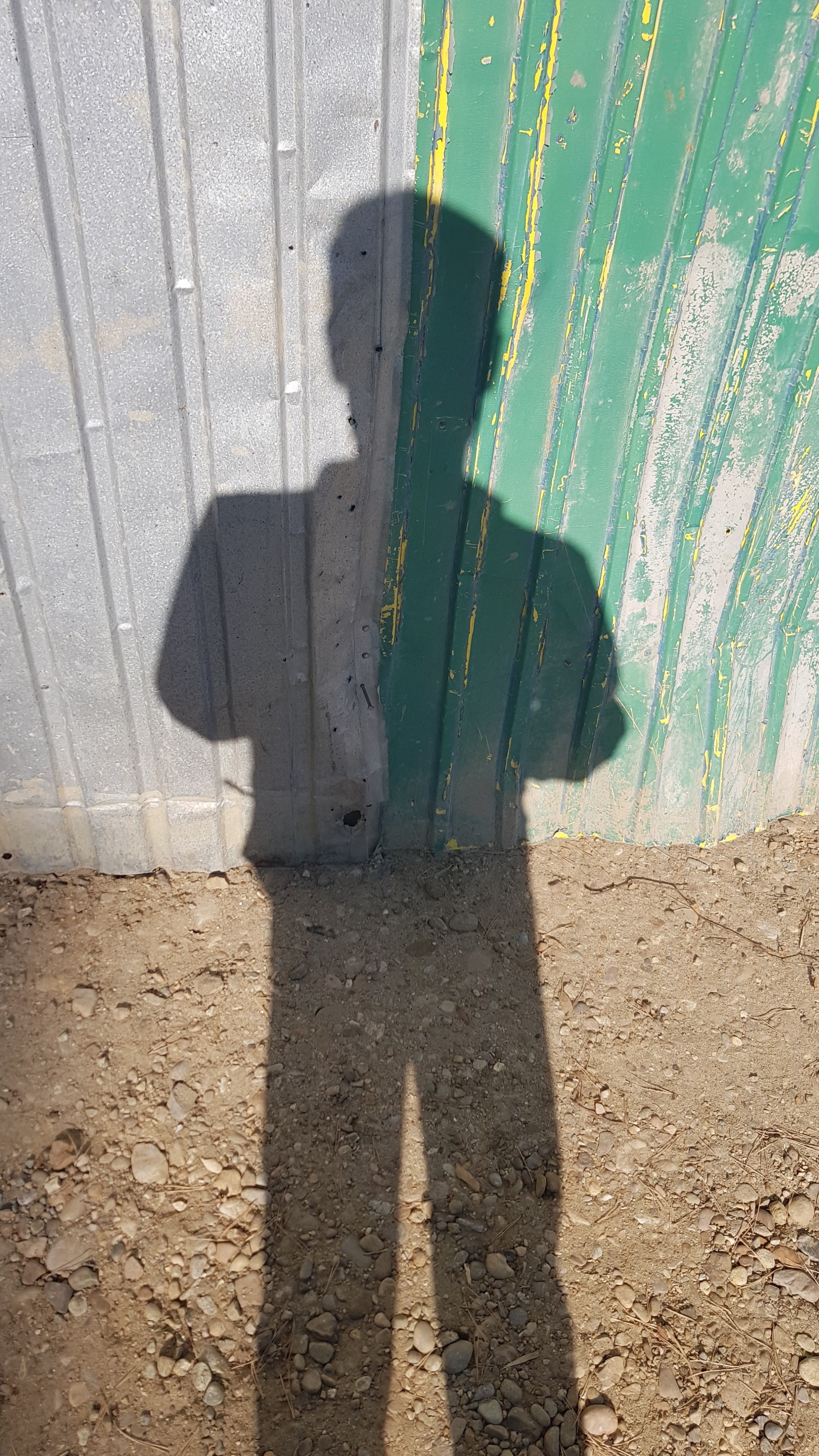 тень головастикозаборовая сирёгина))))))