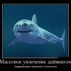 Дайвинг Дайвинг