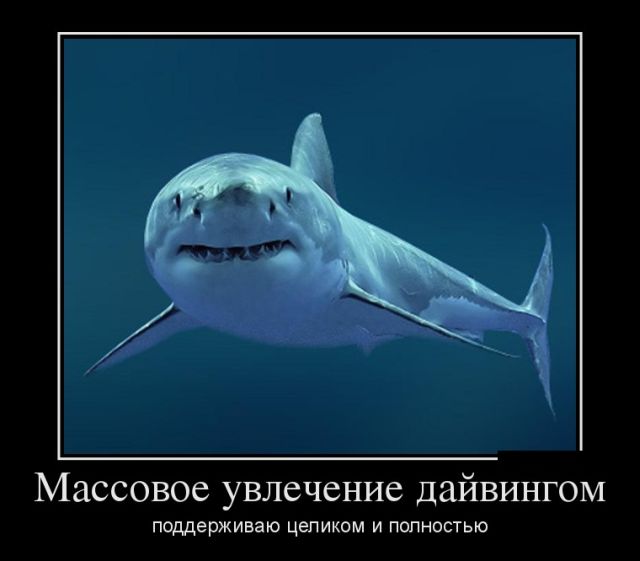 Дайвинг