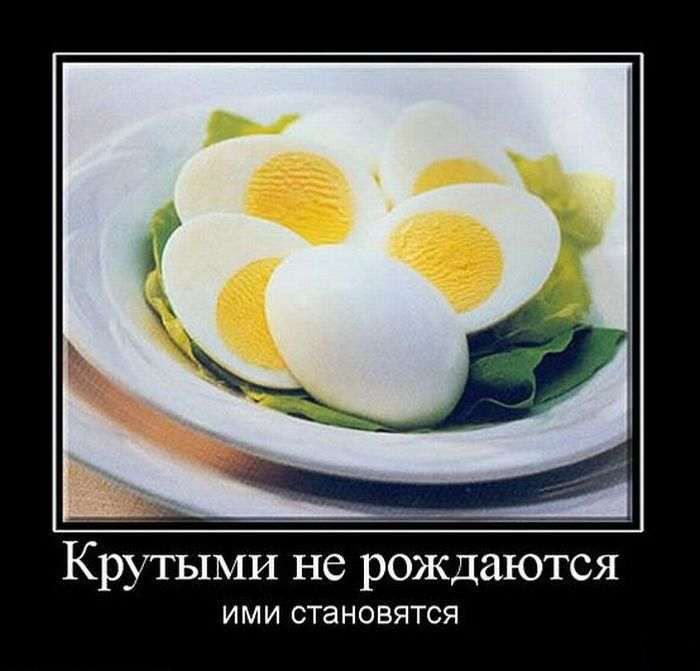 Крутыми не рождаются