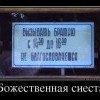 Сиеста Сиеста