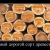 Сорт древесины