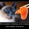 Счастливые моменты