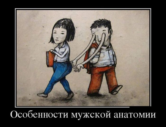 Особенности анатомии