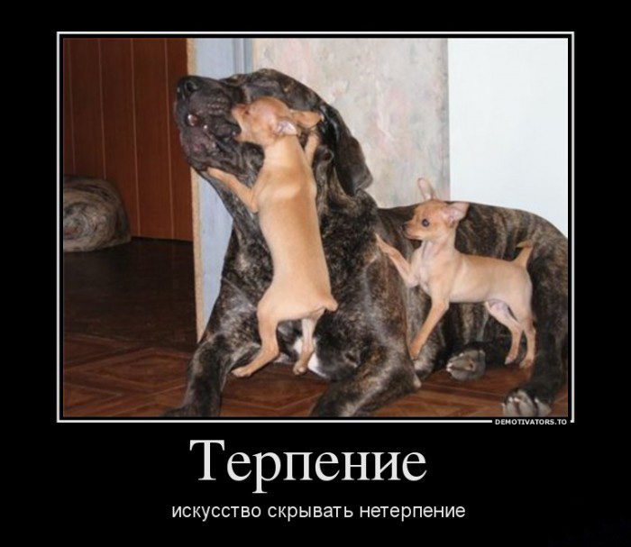 Терпение