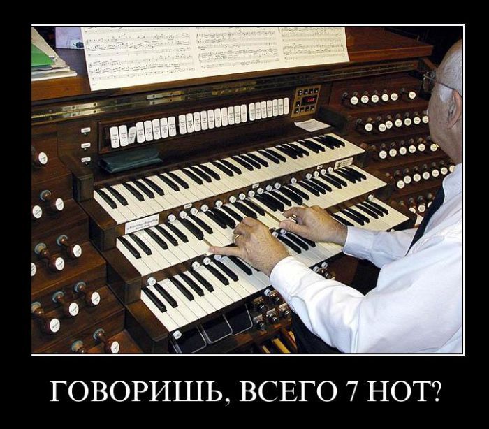 Всего 7 нот