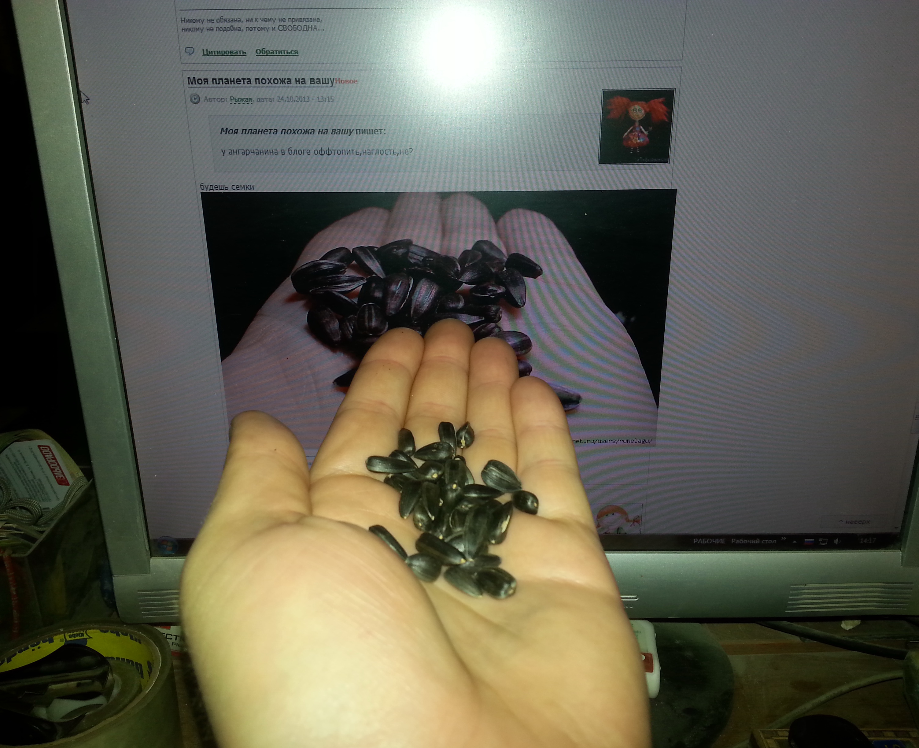 Сирёгины семки)))))