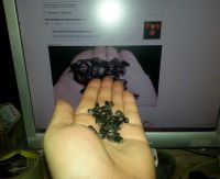 Сирёгины семки)))))