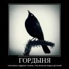 Гордыня