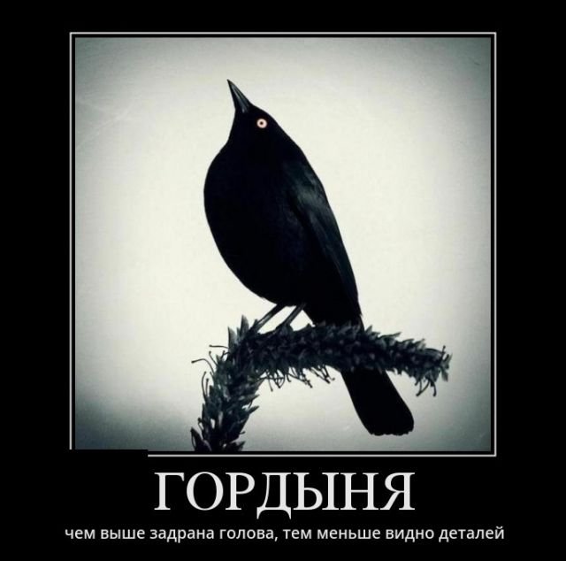 Гордыня