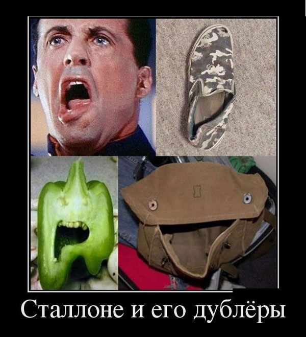 стервестер с талоном