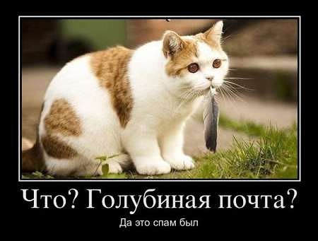 как надо бороться со спамом )