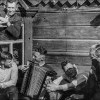 Играй гармонь